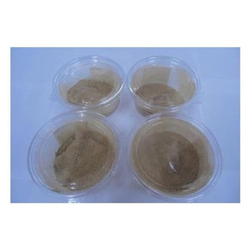 [ 無添加 自家製 ]しょうがパウダー 20g×4袋