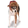 Rubies trapper hat for pets mediumlarge  urban country home decor
