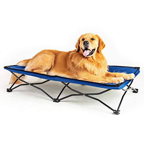 The 15 Best Elevated Dog Beds of 2023