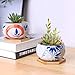 T4U Japanese Style 4.25 Inch Ceramic Bowl Shape Succulent Plant Pot with Bamboo Tray - Collection of 5