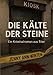 Die Kälte der Steine: Ein Kriminalroman aus Trier