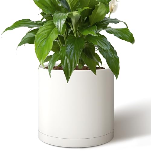 Giraffe Creation 14 Inch Cylinder Plant Pot, Modern Round Planter with Drainage Holes and Saucer, Durable Plastic Flower Pot for Indoor Outdoor Plants, White