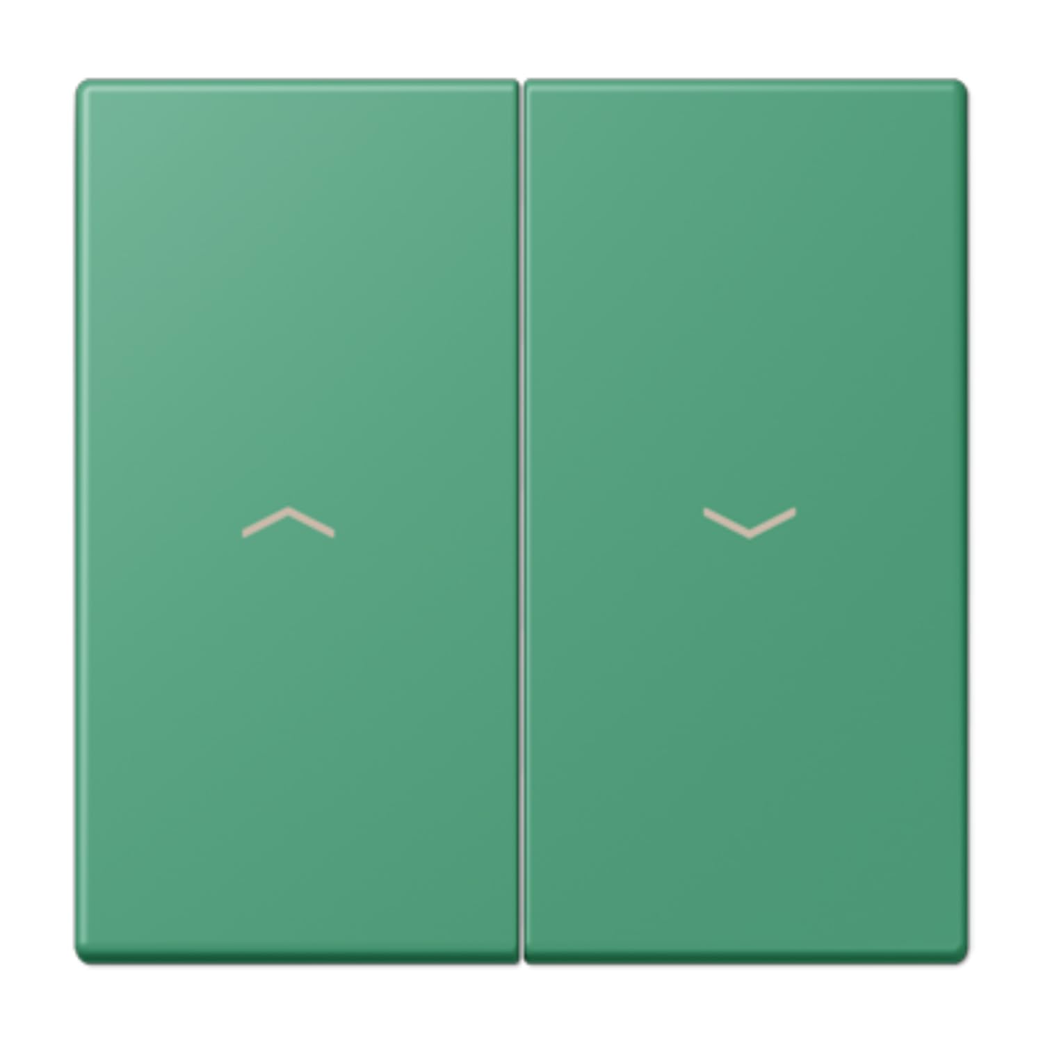 Touche volets LC4320G commande store enjoliveur double interrupteur JUNG LC995P250
