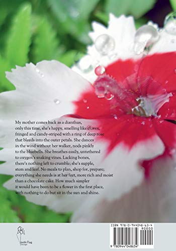 Small Rain - Image 2