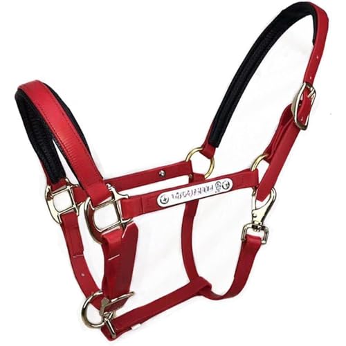 Sailozai n̎jAnpiAnp[vA|j[ ƌ`̃|j[p̃wbhMAANZT[B (bh,)