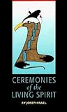  Ceremonies of the Living Spirit by Joseph E. Rael (17-Sep-1998) Paperback