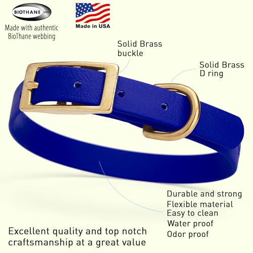 Image of Viper Biothane Heavy Duty Waterproof Dog Collar Strong Coated Nylon Webbing w /Solid Brass Hardware Odor-Proof Easy to Clean High Performance Fits Small Medium or Large Dogs, Blueberry Royal