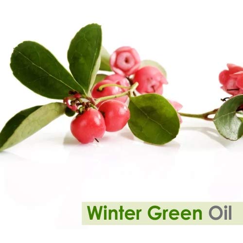 Image of Crysalis Wintergreen (Gaultheria Procumbens) Oil |100% Pure & Natural Undiluted Essential Oil Organic Standard|For Undiluted Therapeutic Grade |Aromatherapy Oil| For all Skin Types- 100ml with dropper