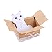 Yosoo Cartoon Cats Sticky Notes, Pack of 5