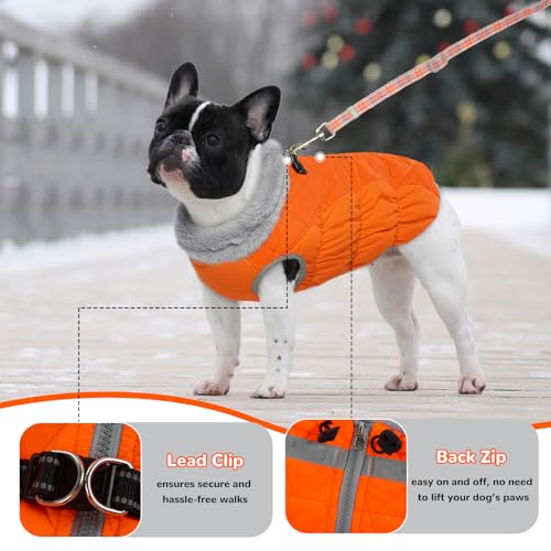 Hjumarayan Hundemantel für Kleine Mittelgroße Grosse Hunde, Hundemantel Winter Warme Wintermantel Hund Hundejacke Wasserdicht Hunde Mantel Gefüttert, Outdoor Hundemantel Labrador (Orange XL)