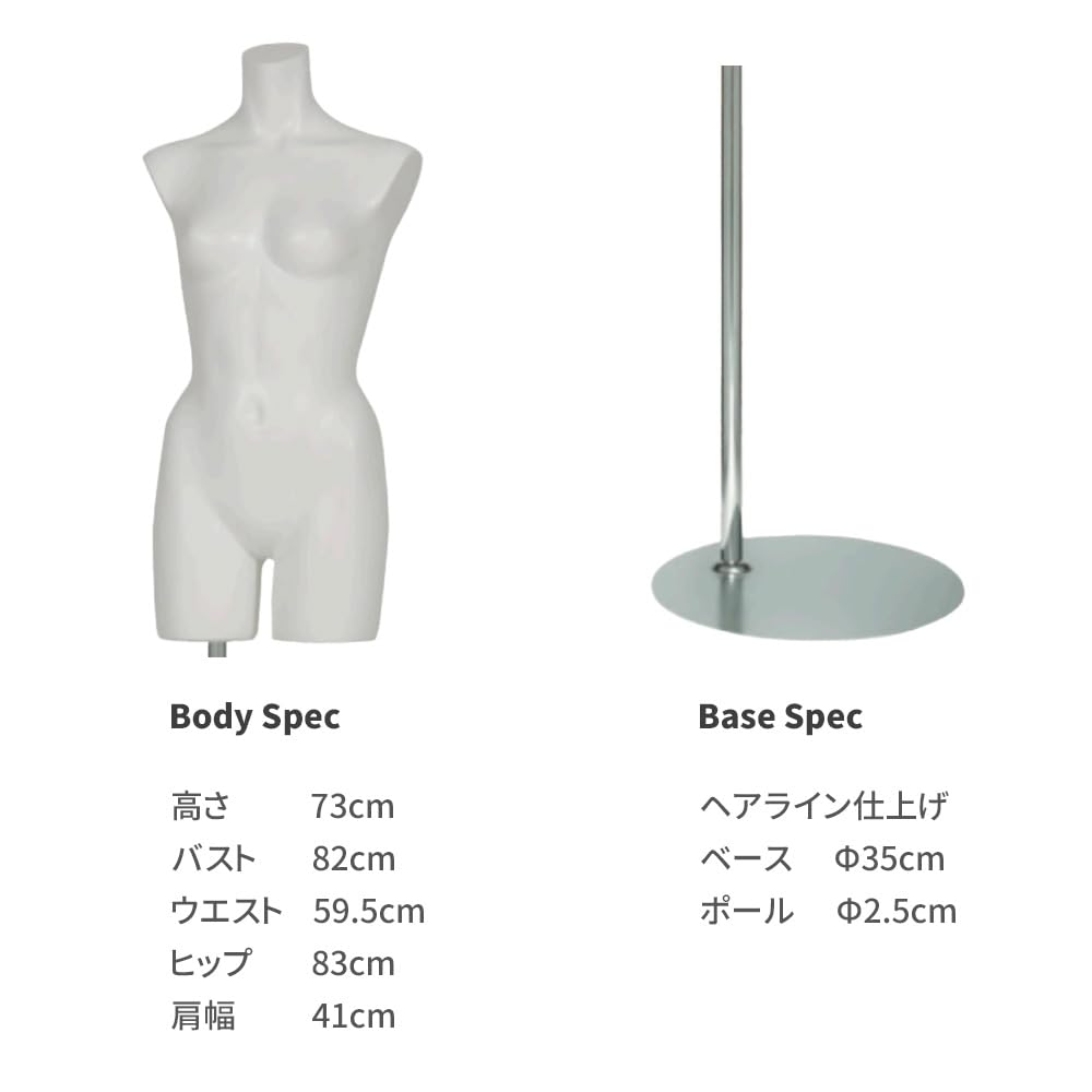 Amazon.co.jp: レディース トルソー 樹脂製 ラッカー塗装 ホワイト 白  