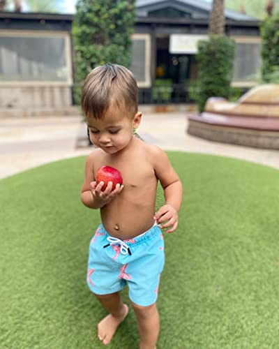 Maamgic Boys Swim Trunks With Compression Liner Stretch Toddler Boys Swim Shorts Quick Dry Swimming Trunks With Boxer Brief Kids Boy 2 In 1 Beach Shorts Blue Sun Starfish 5/6 #TOP1