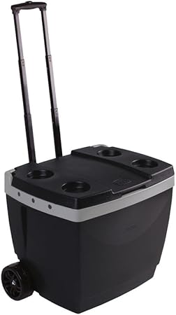 Mor - Caixa Térmica 42 Litros Preta