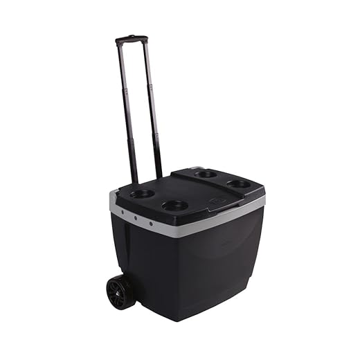 Mor - Caixa Térmica 42 Litros Preta