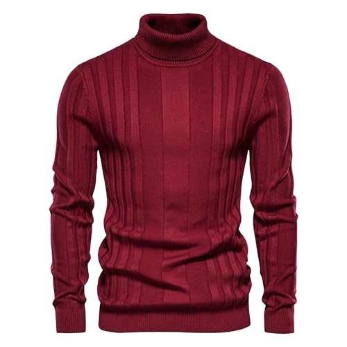 Pull col roulé homme tricot côtelé manches longues torsadées uni