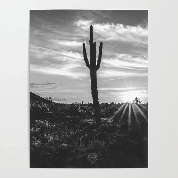BLUEVI Canvas picture HD Print Painting Saguaro Sunrise Black White Arizona Picture Modern Living Room Wall Art15.7x23.6 in(40x60cm) no frame