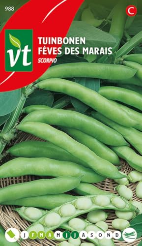 Haricots Fèves des marais Scorpio Graines - Vrai délice