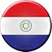 Paraguay Novelty Metal Circular Sign C-387