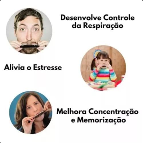 GAITA HARMÔNICA BLUES 20 VOZES EM AFINAÇÃO DÓ (C) DIATÔNICA