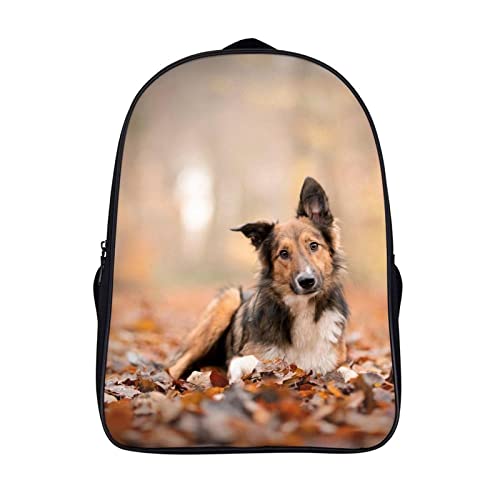 Sac à dos pour adolescents Collie Collie bleu marine et gris pour l'école 40x28x16cm