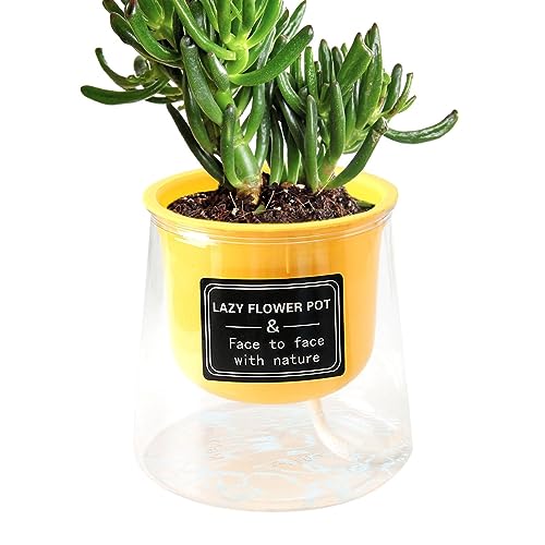 Vasos para mudas, Vasos para plantas com mudas de flores, Vasos iniciais de mudas de jardim para mud