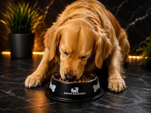 Image of Pets Empire Premium Stainless Steel Dog Bowl for Food & Water, 700ml Pet Bowl with Anti-Skid Rubber Ring, Durable Rustproof Feeding Dish for Dogs,Cats and Puppies