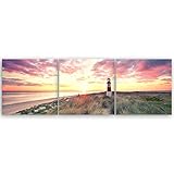 Le cerisier également appelé cerisier des oiseaux ou cerise sauvage est un arbre appartenant à la famille des les Rosacées, originaire de l'Europe et dans certaines zones montagneuses froides de l'Asie Mineure. Wikipedia