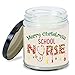 MEDROC School Nurse Candle Merry Christmas School Nurse Christmas Gift for Coworker Women Men, Christmas Gift for School Nurse, School Nurse Home Decoration Gift