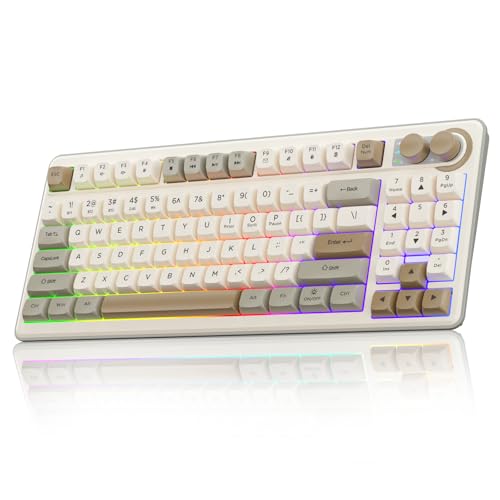 10 Best RGB Keyboard for Aesthetics: Top Wireless Mechanical Keyboards Reviewed SOLAKAKA SK90 75% Wireless Gaming Keyboard - 4000mAh Tri-Mode (BT5.0/2.4G/USB-C) Cute Creamy Gaming Keyboard with Number Pad, Media Knob, RGB Backlit, Quiet Keys Silent Office Keyboards for PC MAC