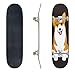 Skateboards Welsh Corgi Pembroke Dog are Sitting on The Ground Stock Illustration Classic Concave Skateboard Cool Stuff Teen Gifts Longboard Extreme Sports for Beginners and Professionals
