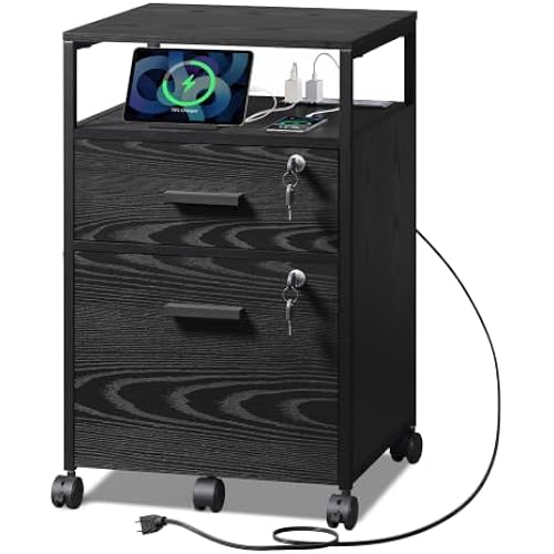 DEVAISE 2 Drawer File Cabinet with Lock, Wood Printer Stand, Black
