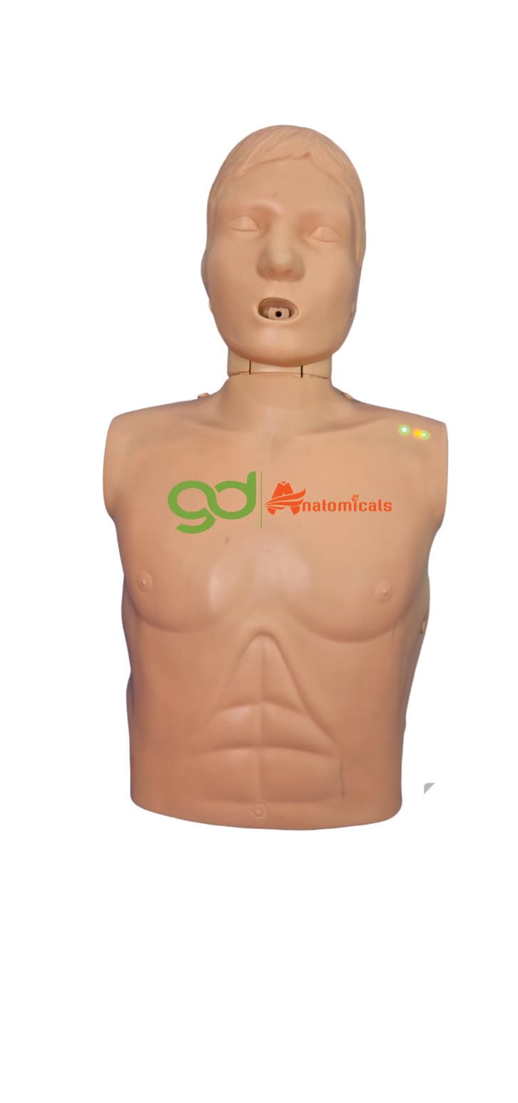GD ANATOMICALS® Professional Training Mannequin Half Body for CPR and First Aid Training - Lifesize Manikin with Carrying Bag Included - An Essential Tool for Healthcare Providers, CPR Instructors, and First Aid Training Programs - Realistic Half-Bo (B0CF5DWN1P) Amazon Price History, Amazon Price Tracker
