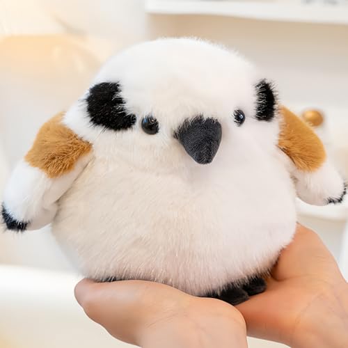 V}GiK ʂ ӂӂV}GiK ܂Ȃ t@[XggC    XY 20cm v[g  G