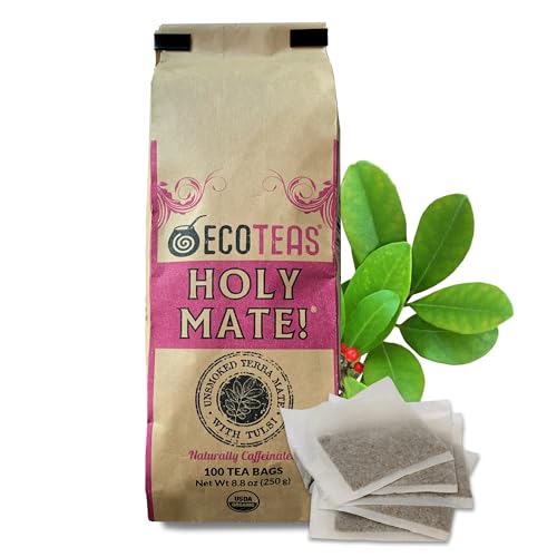 ECOTEAS Holy Mate! Organic Yerba Mate Tea Bags with Tulsi & Mint – Natural Energy, Detox Herbal Tea, Stress Support – Kosher, Non-GMO, Gluten-Free - 100 Bulk Bags, 8.8 oz (Pack of 1)