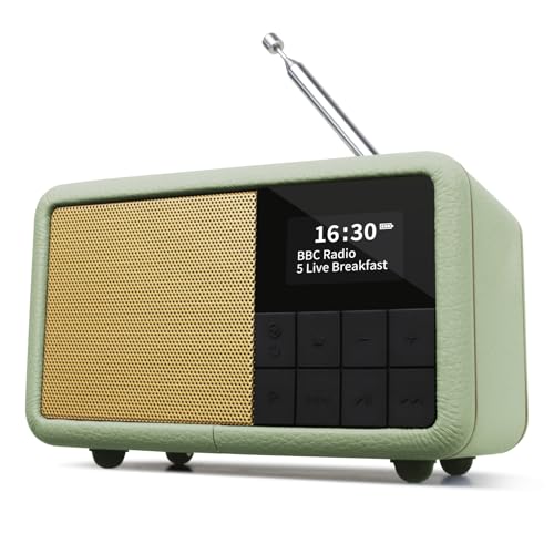 LEMEGA Class Compact DAB+ Radiosveglia - Radio DAB+ portatile alimentata da rete e batteria, Radio digitale agganciabile con orologio con Bluetooth, Jack per cuffie, Impermeabile IPX4, Batteria 12 ore