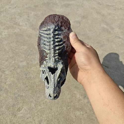 Boîte à nourriture pour reptiles et cachette décorative en résine - 5