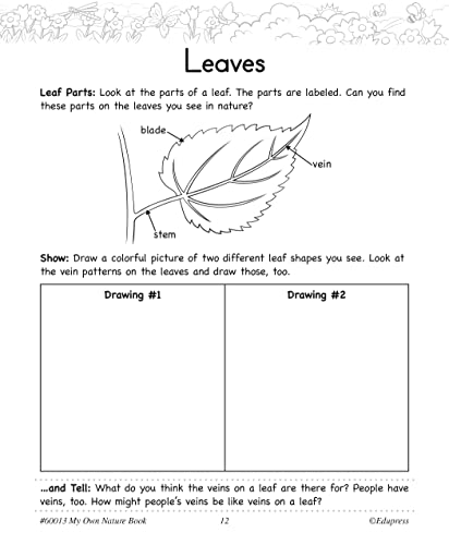 My Own Nature Book lote de 10 libros personalizables de naturaleza con páginas para dibujar 3