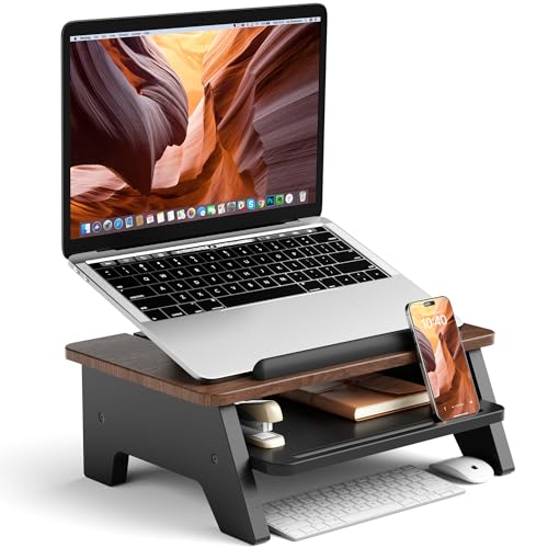 AFOOYO 2-Tier Laptop Stand,Adjustable Riser,Desk Organizer Accessories Ventilated Cooling Ergonomic...