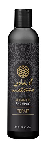 El oro de Marruecos Repair Champú, Paquete 1er (1 x 250 g)