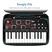 FINPAC Semi-Hard Carrying Case for AKAI Professional MPK Mini MKII & MK3 & MPK Play | Alesis V Mini 25 Key USB MIDI Keyboard Controller Case with Cable Slot for Business, Travel (Black)