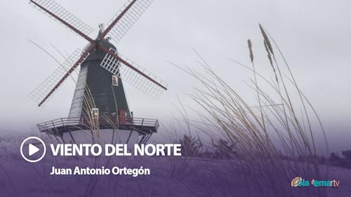 Viento del Norte