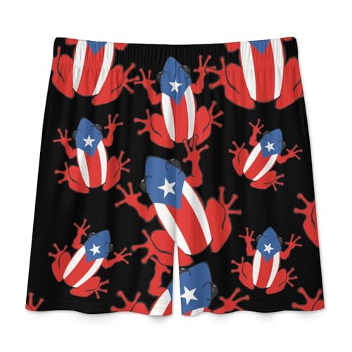 Puertorican Frog Flag Men's Satin Pajama Boxer Shorts Silk Feeling Lounge Sleep Underwear4