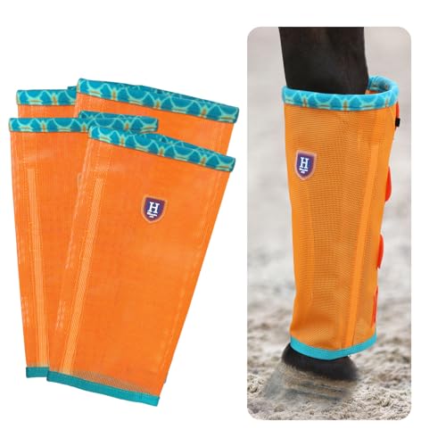 CareMaster t@CbVtCu[c [YtBbg&mXbvz[XtCMX t[XGAt[(4Zbg) \tgIW|j[