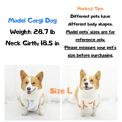 Cobertor para abdomen perro talla M azul miniatura 3