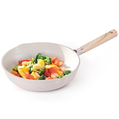 CAROTE Non Stick Frying Pan, Granite Omlette Egg Pan, Induction&Gas Fry Pan, Fish Pan, PFOA Free (26 CM, Granite Seashell)