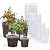 homenote Nursery Pots