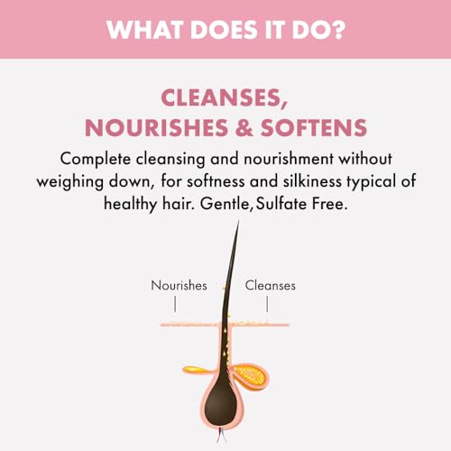 Listado de Shampoo seco para cabello los mejores 10. 21 Listado de Shampoo seco para cabello los mejores 10. 19