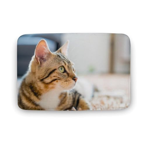 L   oX}bg \tg􂦂 z  փ}bg  O    ~ Aj LN^[ @}bg   ʏ