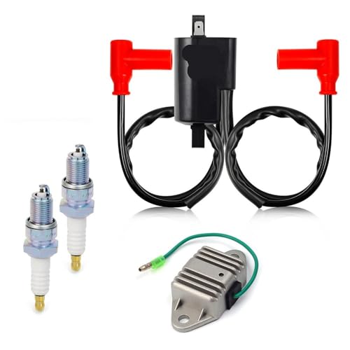 Bobine d'allumage et régulateur de tension pour quad B350