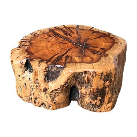 THY COLLECTIBLES Natural Tree Trunk Stump Stool with Live Edge Solid Wood Plant Stand, Stool, Garden Bench, Side Table, End Table (D10 in x H4 in) Cover